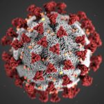 covid-19-coronavirus-covid-cell-pandemic-corona-virus-1608796-pxhere.com (2)